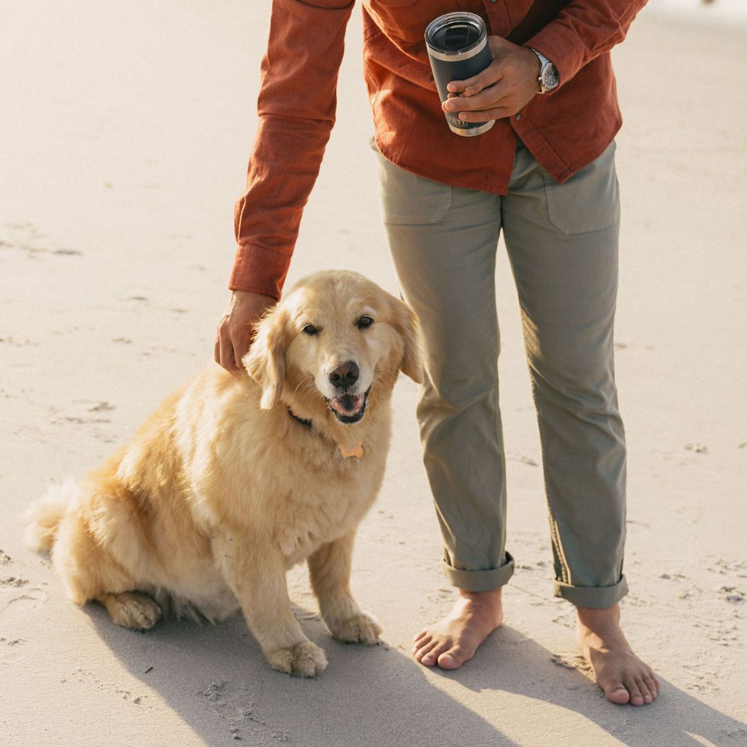 Golden retriever sitting on sand while a barefoot person pets it and holds a travel mug
